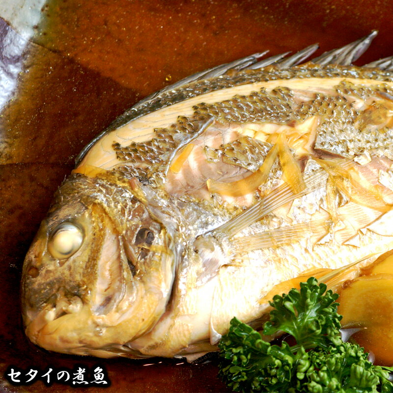 【ふるさと納税】旬の朝どれ 鮮魚 直送 定期便...の紹介画像3