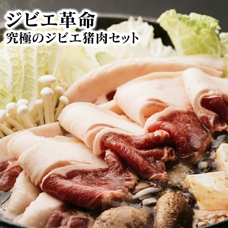 ジビエ革命〜究極のジビエ　猪肉セット　計600g【マツダジビエ】