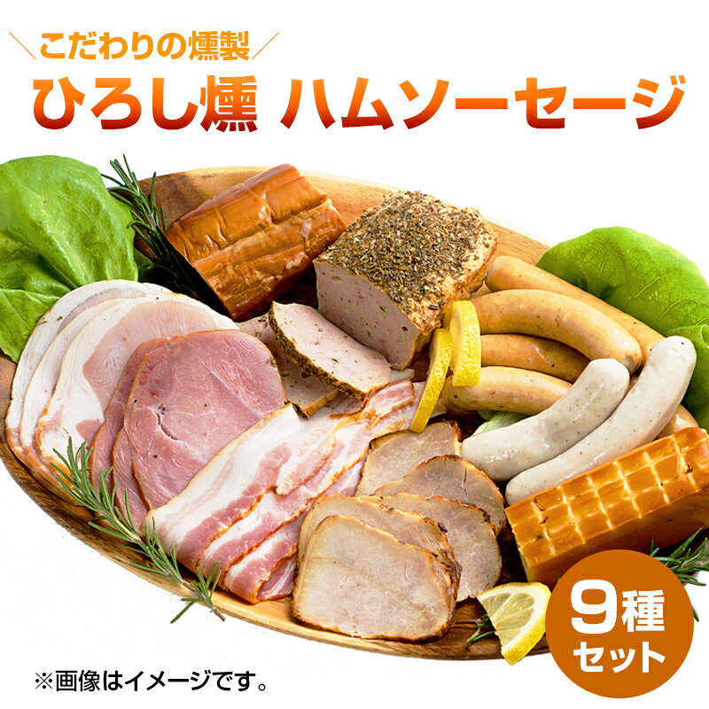 【ふるさと納税】A914 【齋藤精肉店】こだわりの燻製 ひろし燻 ハム・ソーセージ9種セット 国産 宮崎県延岡市 冷凍 送料無料