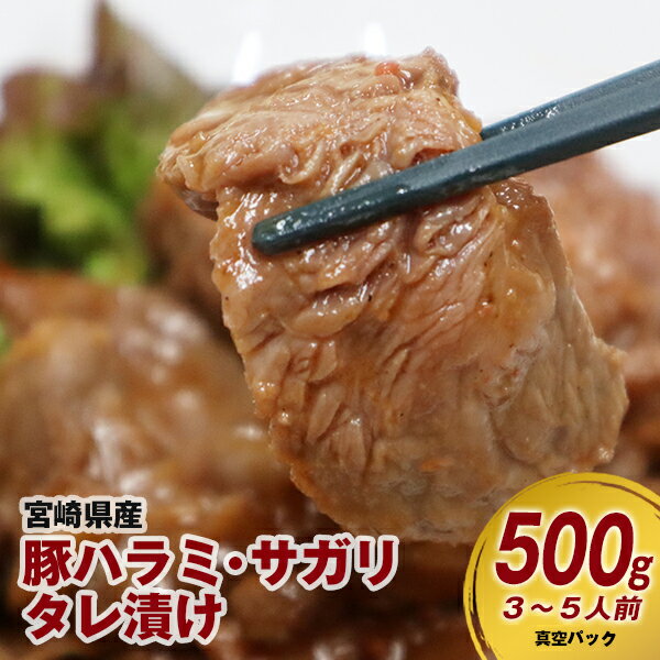 【ふるさと納税】豚肉 豚ハラミ サガリ タレ漬け 500g 3～5人前 宮崎産 国産 真空パック 焼肉 肉 やわらかい 食べやすい 焼くだけ ギフト お取り寄せ お取り寄せグルメ 精肉 加工品 宮崎県 延岡市 送料無料 ごはんのおとも 食品 食べ物 冷凍