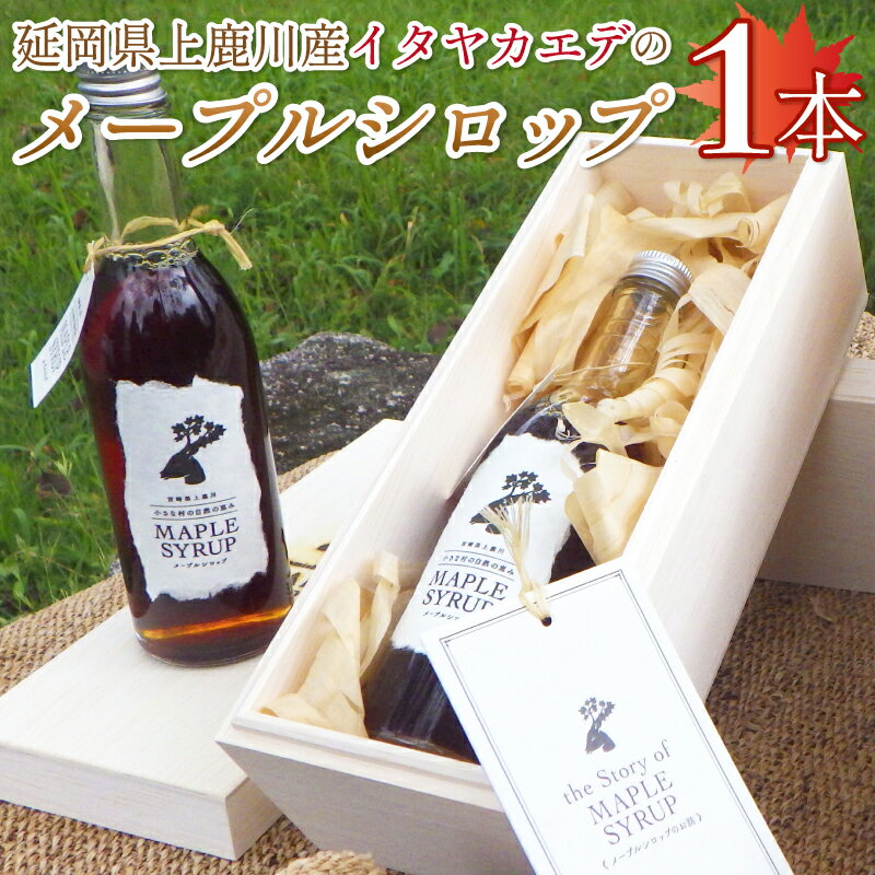 延岡市上鹿川産メープルシロップ