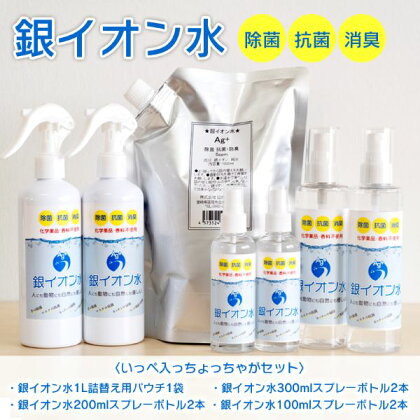 銀イオン水 除菌・抗菌・消臭 いっぺ入っちょっちゃがセット 除菌 抗菌 消臭 防カビ 掃除 宮崎県延岡市 送料無料