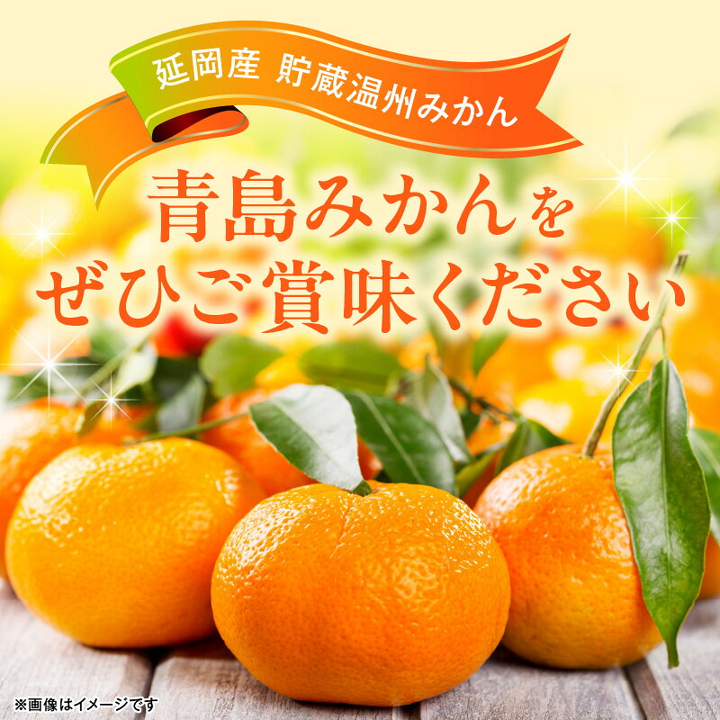 宮崎県延岡市の画像3