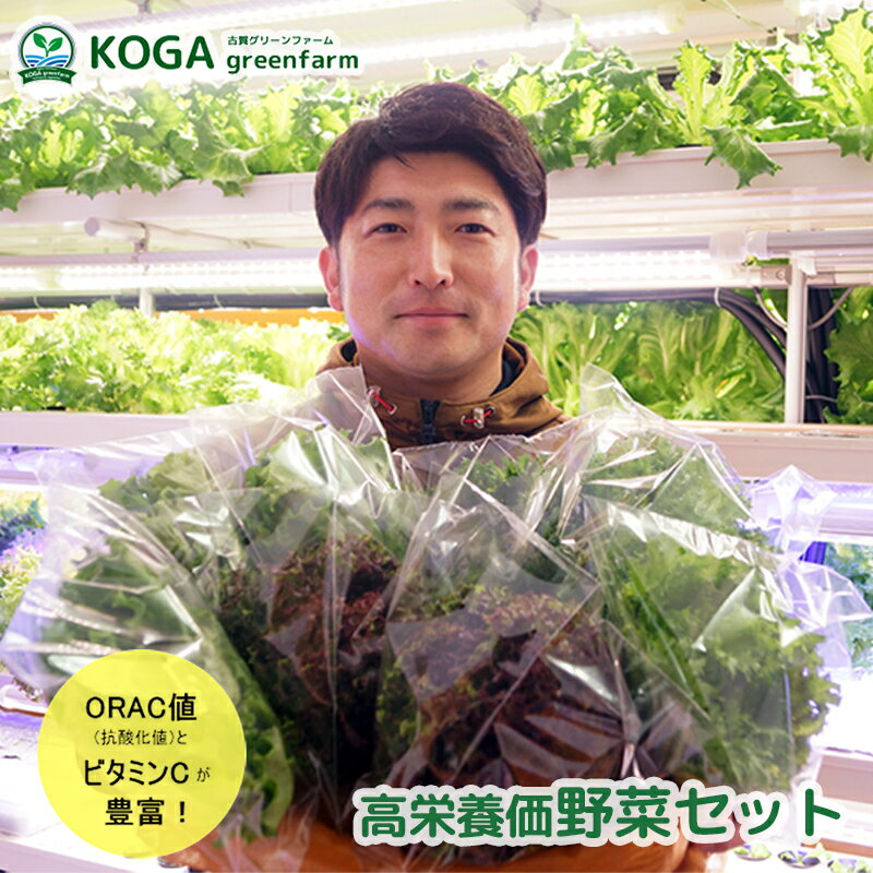 3位! 口コミ数「0件」評価「0」高栄養価野菜セット