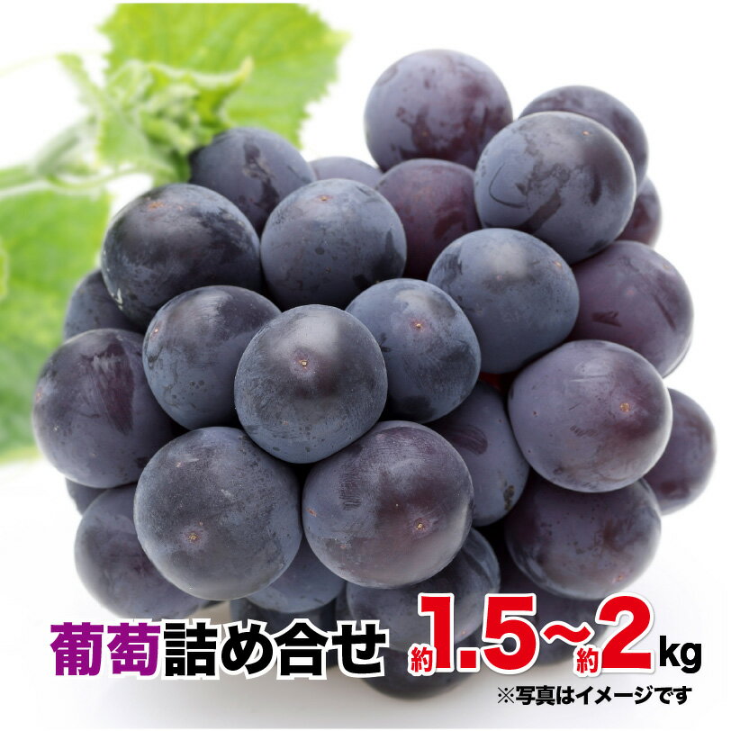 【ふるさと納税】【先行予約】葡萄 A セット 約 1.5kg ~ 約 2kg 2種類 詰め合わせ 2024年 8月 発送開始 シャインマスカット ピオーネ 高墨 ハニービーナス パリメール 旬 果物 フルーツ 国産 お取り寄せ お取り寄せフルーツ 宮崎県 延岡市 送料無料