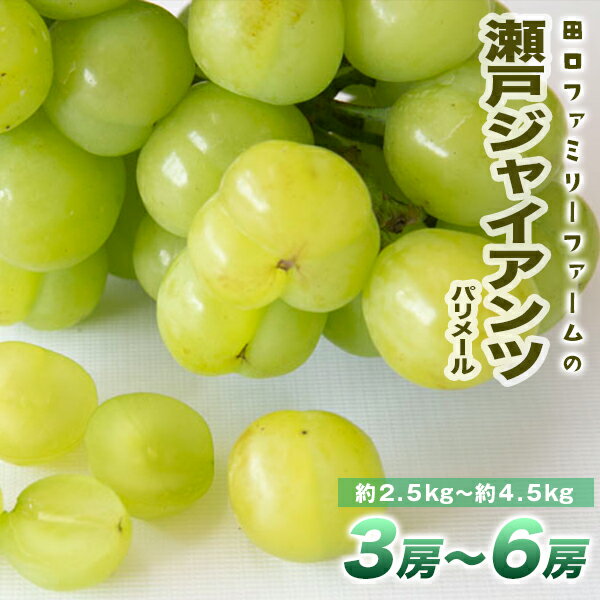 【ふるさと納税】ぶどう パリメール 瀬戸ジャイアンツ 3房 ~ 6房 約 2.5kg ~ 4.5kg 大粒 種なし 皮ごと食べられる 白ぶどう 果物 フルーツ スッキリ 爽やか 甘み ハート形 国産 田口ファミリーファーム 延岡産 お取り寄せ お取り寄せグルメ 送料無料