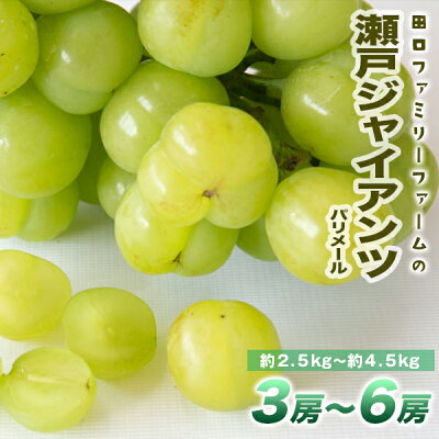 楽天ふるさと納税　【ふるさと納税】ぶどう パリメール 瀬戸ジャイアンツ 3房 ~ 6房 約 2.5kg ~ 4.5kg 大粒 種なし 皮ごと食べられる 白ぶどう 果物 フルーツ スッキリ 爽やか 甘み ハート形 国産 田口ファミリーファーム 延岡産 お取り寄せ お取り寄せグルメ 送料無料