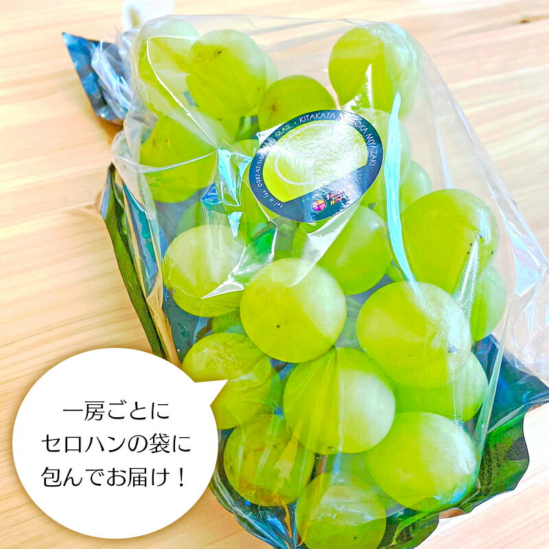 【ふるさと納税】ぶどう パリメール 瀬戸ジャイアンツ 3房 ~ 6房 約 2.5kg ~ 4.5kg 大粒 種なし 皮ごと食べられる 白ぶどう 果物 フルーツ スッキリ 爽やか 甘み ハート形 国産 田口ファミリーファーム 延岡産 お取り寄せ お取り寄せグルメ 送料無料