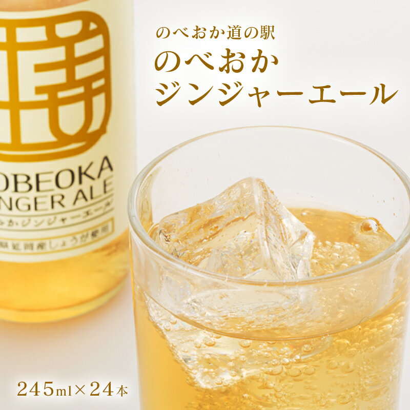 【ふるさと納税】のべおか 道の駅 北川はゆま オリジナル ジンジャーエール 245ml × 24本 すっきり さ...