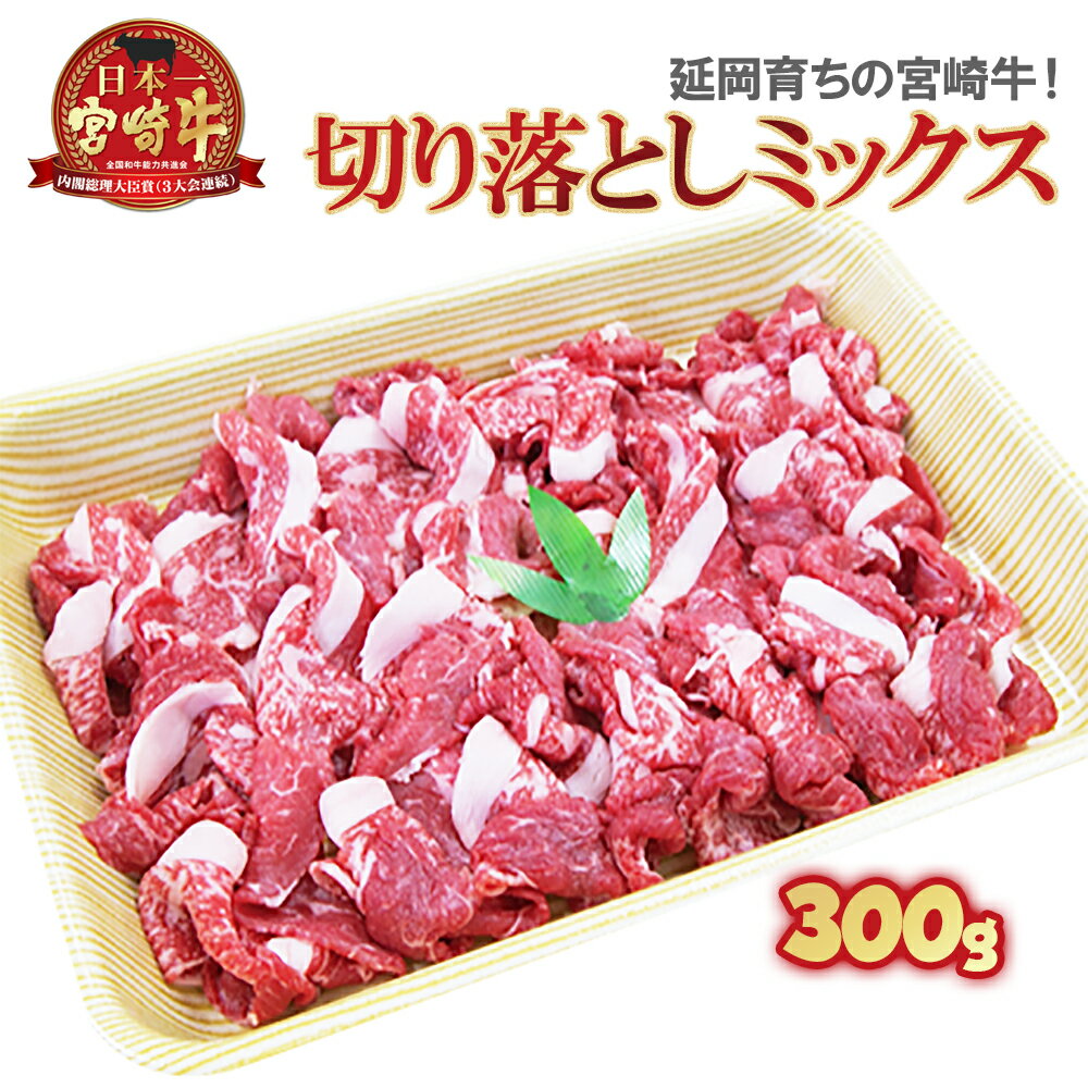 【ふるさと納税】延岡育ちの宮崎牛　旨み満載ミックス切り落とし