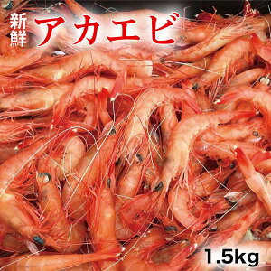 【ふるさと納税】アカエビ　1.5kg　宮崎県延岡市　冷凍　送料無料