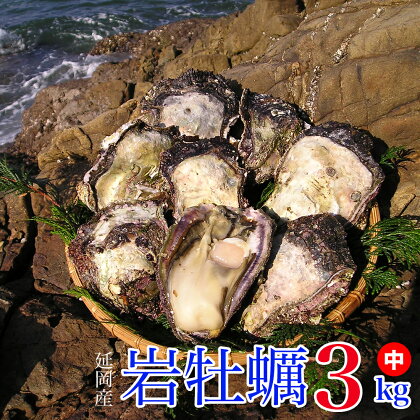 延岡産天然岩牡蠣(生食用)3kg(中)(2019年4月から発送開始)