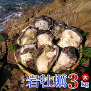 【ふるさと納税】延岡産天然岩牡蠣(生食用)3kg(大)(20...