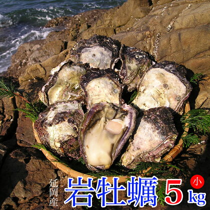 延岡産天然岩牡蠣(生食用)5kg(小)(2020年4月から発送開始)