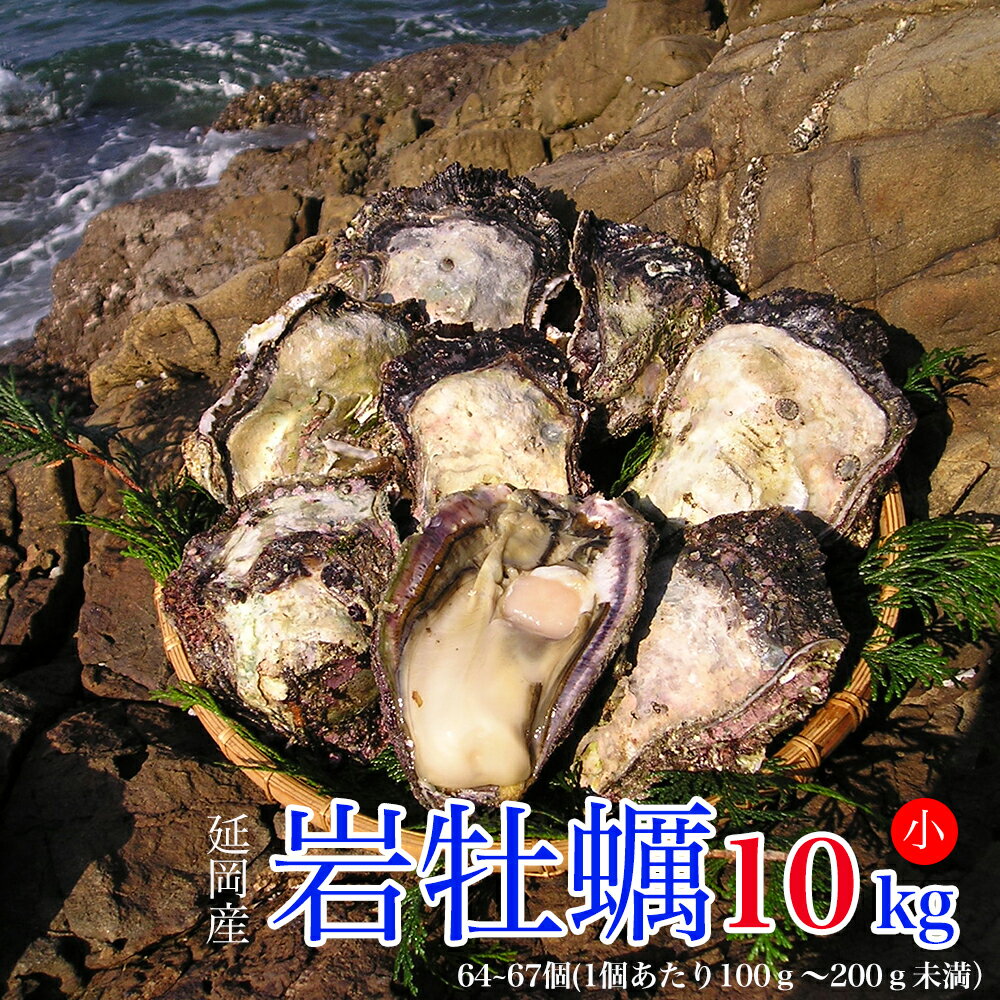 【ふるさと納税】延岡産天然岩牡蠣（生食用）10kg（小）（2019年4月から発送開始）