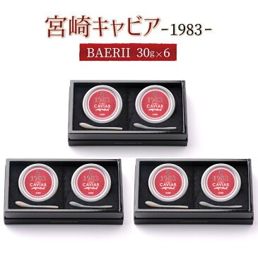 【ふるさと納税】MIYAZAKI CAVIAR 1983　BAERII（30g）6個セット 高級 宮崎県 延岡市【冷凍】