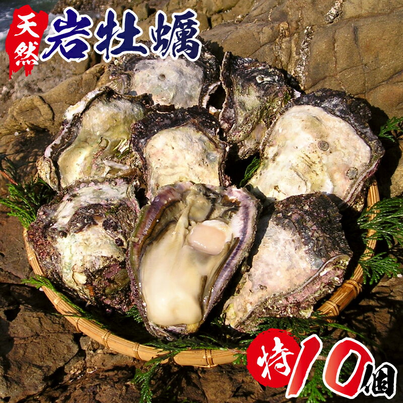 【ふるさと納税】C028　延岡産天然岩牡蠣（生食用）特サイズ10個（2021年4月から発送開始）　冷蔵 生牡蠣 岩がき 殻付き 国産 宮崎県延岡市 産地直送 送料無料