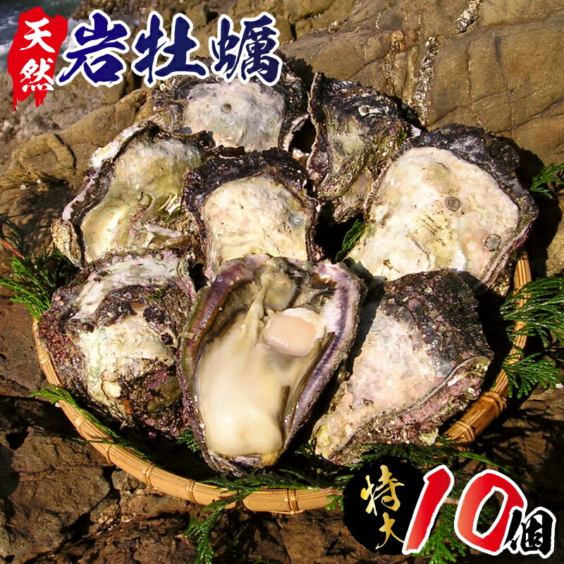 【ふるさと納税】C608　延岡産天然岩牡蠣（生食用）特大サイズ10個（2021年4月から発送開始）　冷蔵 生牡蠣 岩がき 殻付き 国産 宮崎県延岡市 産地直送 送料無料