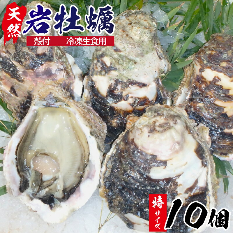 【ふるさと納税】C029　延岡産天然岩牡蠣（冷凍生食用）特サイズ10個（2021年4月から発送開始）　冷凍 生牡蠣 岩がき 殻付き 国産 宮崎県延岡市 産地直送 送料無料