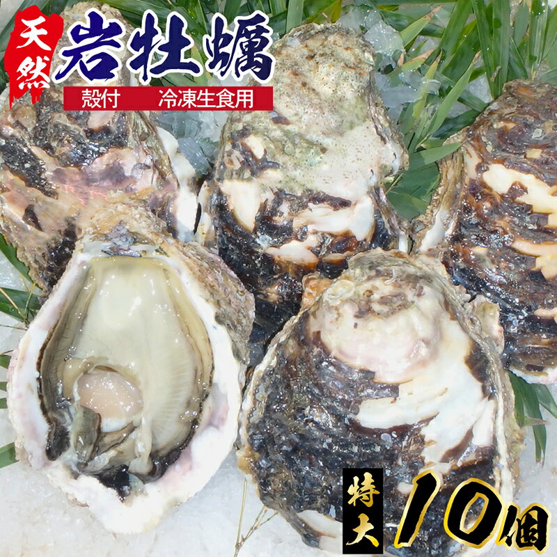 【ふるさと納税】C609　延岡産天然岩牡蠣（冷凍生食用）特大サイズ10個（2021年4月から発送開始）　冷凍 生牡蠣 岩がき 殻付き 国産 宮崎県延岡市 産地直送 送料無料