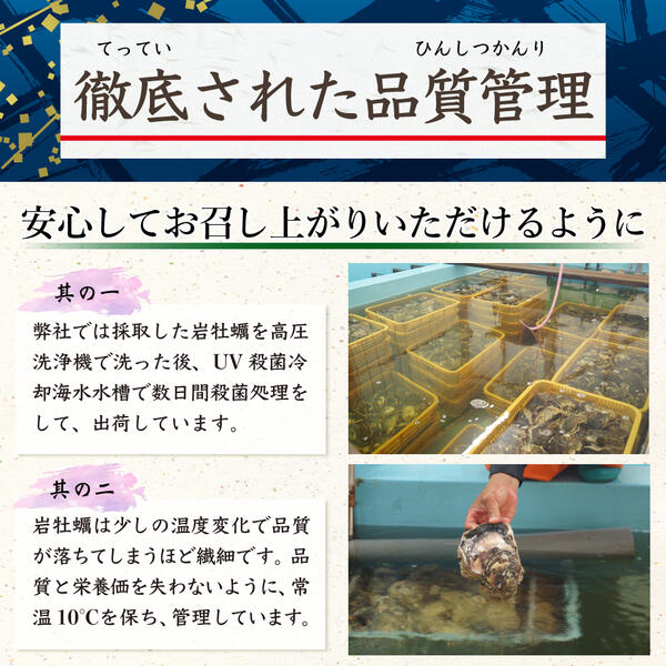 【ふるさと納税】延岡産天然岩牡蠣（生食用）10kg（小）（2019年4月から発送開始）