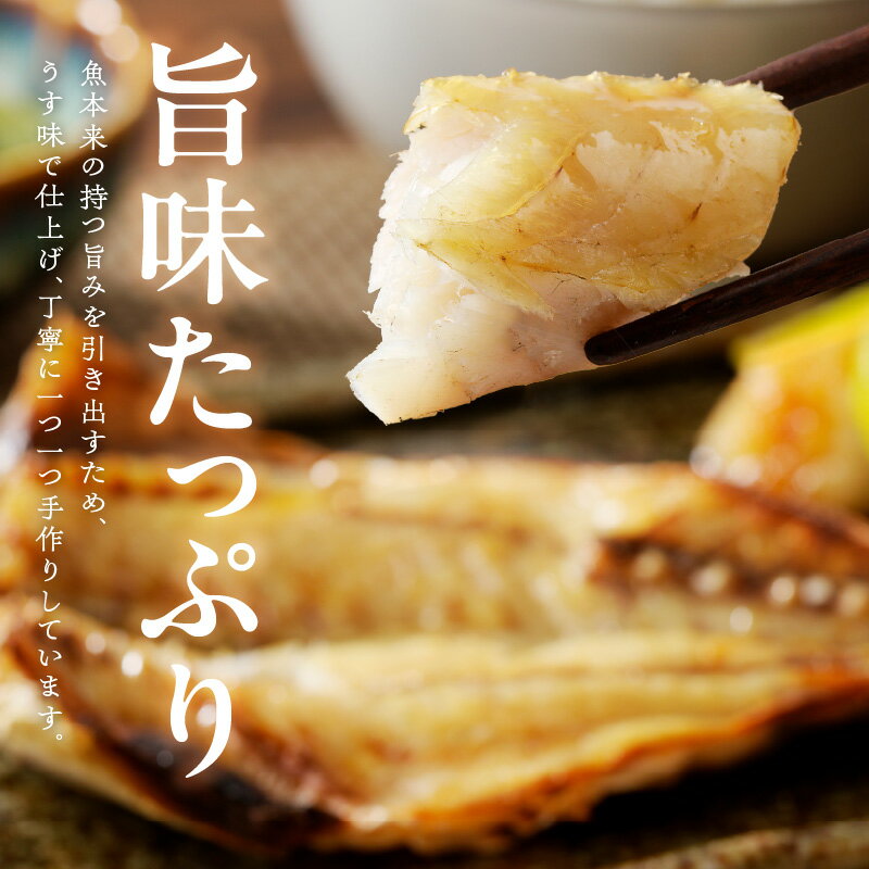 【ふるさと納税】干物 セット 約 2kg 日向灘 獲れ 手作り 美味しい 詰め合わせ あじの酢漬け あじの塩開き かます塩開き 日向丸干し 太刀魚みりん ちりめん 魚の旨み 海産物 海の幸 魚介 食品 加工品 高橋水産 お取り寄せ お取り寄せグルメ 宮崎県 延岡市 送料無料