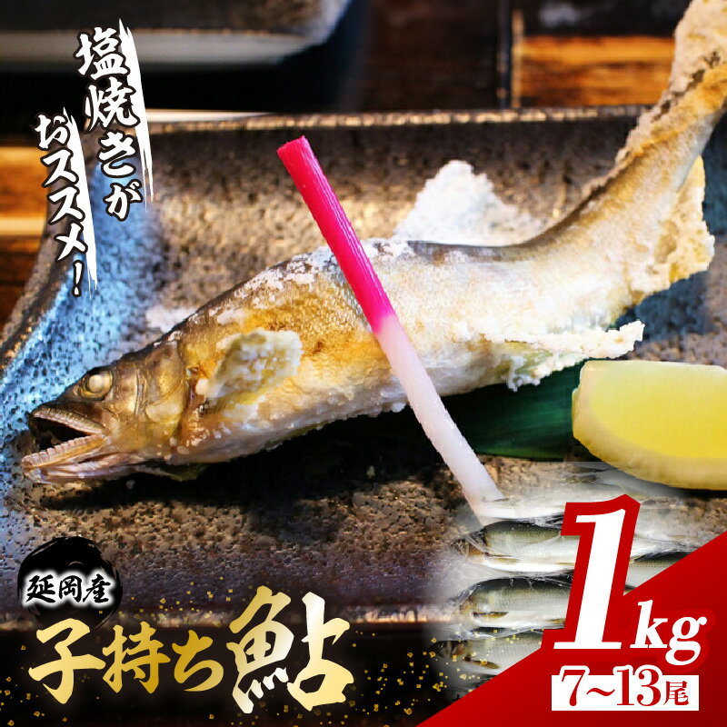 【ふるさと納税】子持ち 鮎 魚介類 魚 1kg 7 〜 13 尾入り 海産物 国産 延岡産 冷凍 小分け 個包装 一尾ずつ袋に入れてお届け 繊細な美味しさ 便利 塩焼き 甘露煮 鮎めし 雑炊 松本水産 お取り…