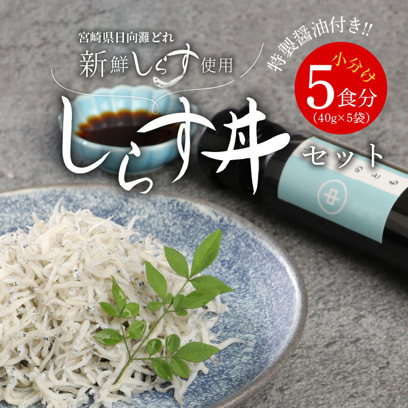 【ふるさと納税】宮崎産 しらす丼 セット 小分け 5食分 200g 老舗醸造所 特製醤油付き マルナカ海産 A0221