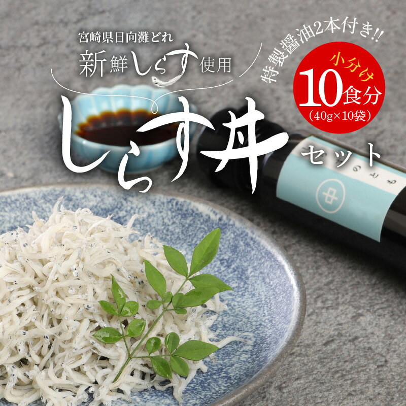 【ふるさと納税】宮崎産 しらす丼 セット 小分け 10食分 400g 老舗醸造所 特製醤油付き マルナカ海産