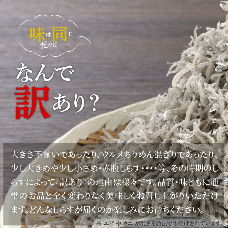 【ふるさと納税】訳あり しらす 2kg 大きめ 小さめ 添加物不使用 ふわっと 食感 程良い 塩味 天然 うまみ 新鮮 ちりめん 純粋 自然の味 冷凍 しらす丼 カルシウム 豊富 ビタミン 海の幸 マルナカ海産 宮崎県 延岡市 日向灘 お取り寄せ 送料無料