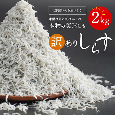 【ふるさと納税】訳あり しらす 2kg 小さめ 添加...