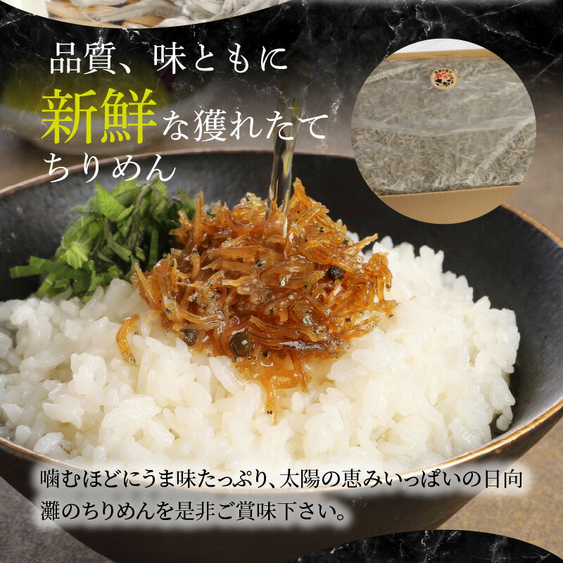 宮崎県延岡市の画像3