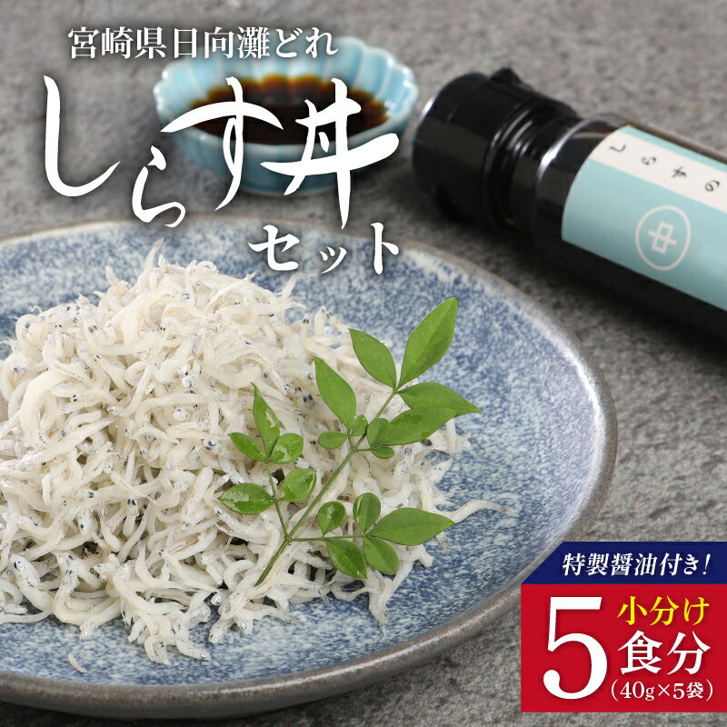 5位! 口コミ数「1件」評価「5」宮崎産 しらす丼 セット 小分け 5食分 200g 老舗醸造所 特製醤油付き マルナカ海産 A0221