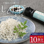 【ふるさと納税】宮崎産 しらす丼 セット 小分け 10食分 400g 老舗醸造所 特製醤油付き マルナカ海産