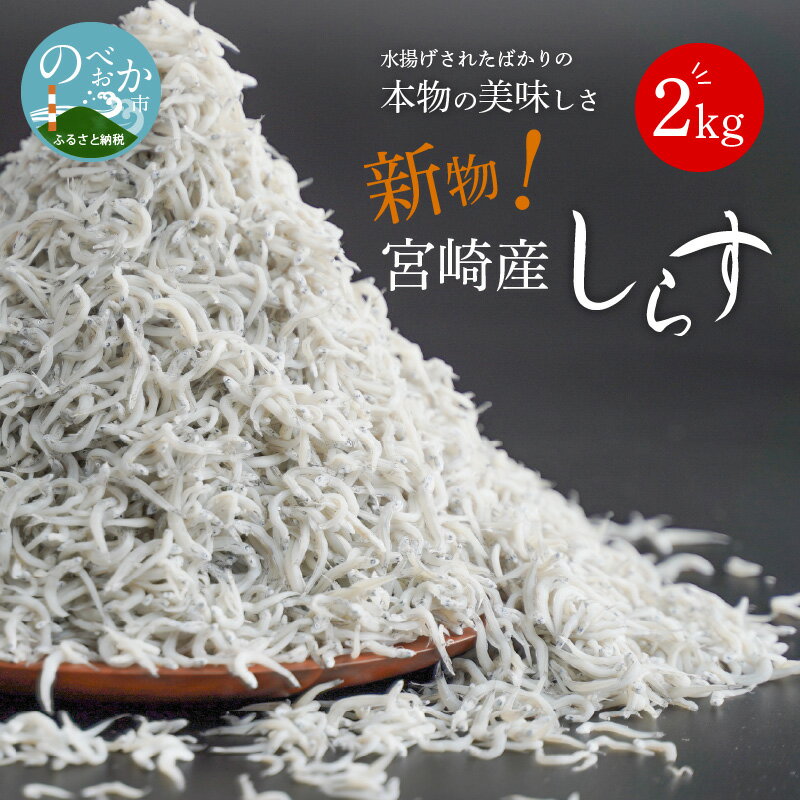 しらす しらす干し 2kg 宮崎産 新鮮 ご飯のお供 しらす丼 40杯分 天然 無添加 無着色 自然食品 栄養 カルシウム ビタミン お取り寄せ お取り寄せグルメ 日向灘産 魚介 冷凍 送料無料 食品 宮崎県 延岡産