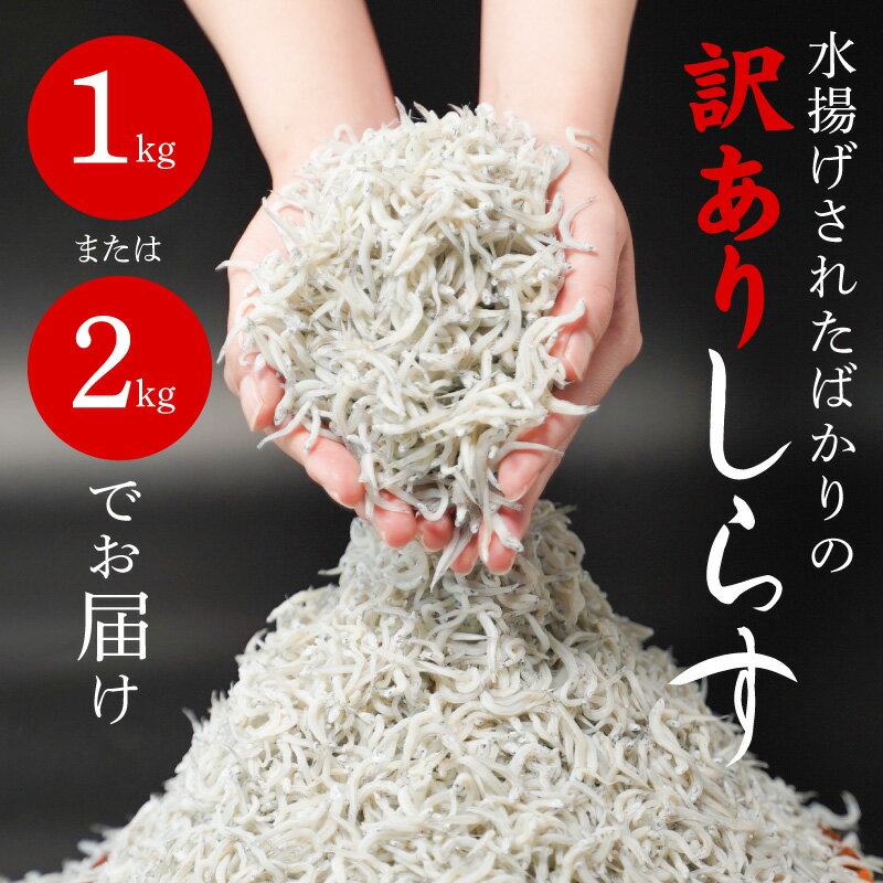 宮崎県延岡市の画像3