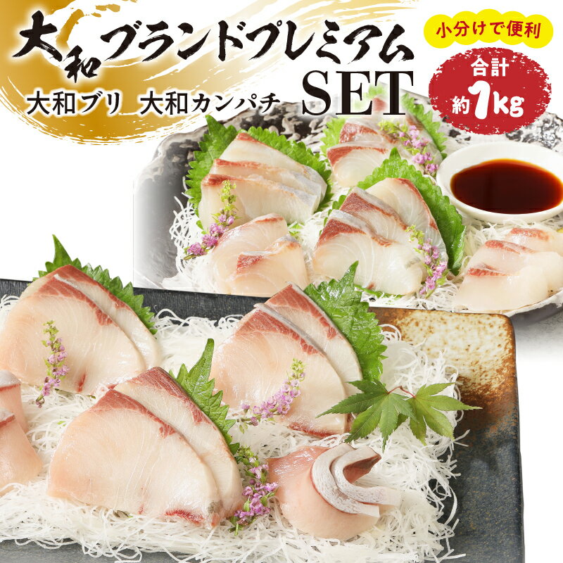 大和ブランドプレミアムSET ブリ カンパチ 約1kg 小分け 刺身 ブロック 食品 海の幸 魚介類 グルメ 冷凍 真空パック 大和海商 宮崎県 延岡市 お取り寄せ 送料無料