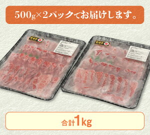 【ふるさと納税】史上初内閣総理大臣賞3連覇日本一宮崎牛カルビ焼肉1kg国産牛冷凍送料無料