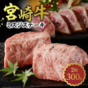 【ふるさと納税】牛肉 宮崎牛 ミスジ ステーキ 2枚 合計 300g 黒毛和種 肉質等級 4等級以上 希少部位 食感 柔らかい お肉 肉 国産 国産牛 和牛 食品 冷凍 お取り寄せ お取り寄せグルメ 宮崎県 延岡市 送料無料