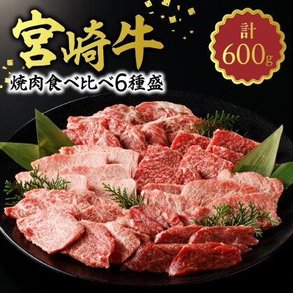 牛肉 宮崎牛 焼肉 食べ比べ 6種盛 600g サーロイン リブ芯 トウガラシ カタ カルビ 中落カルビ 肉質等級 4等級以上 お肉 肉 国産 国産牛 和牛 食品 冷凍 バーベキュー お取り寄せ お取り寄せグルメ 宮崎県 延岡市 送料無料