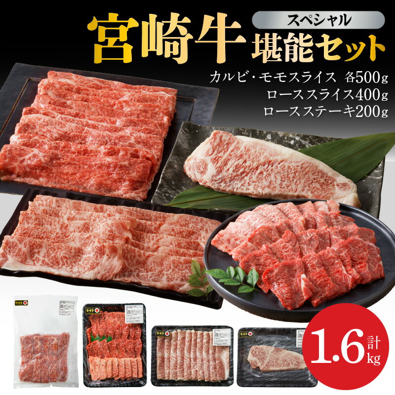 【ふるさと納税】宮崎牛 計 1.6kg 牛肉 スペシャル 堪