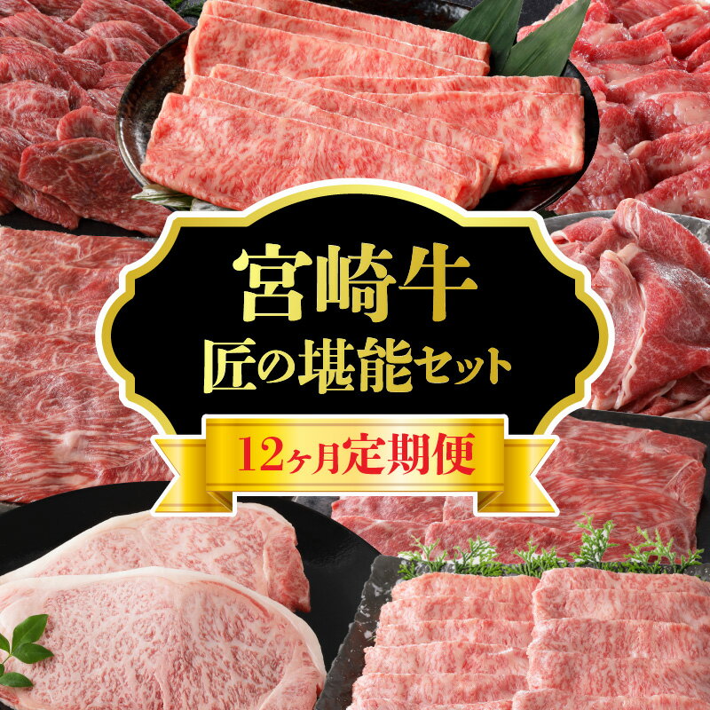 23位! 口コミ数「0件」評価「0」 定期便 12ヶ月 宮崎牛 匠の堪能セット 切り落とし しゃぶしゃぶ カルビ 赤身 焼肉 ステーキ ロース スライス 肉じゃが 牛丼 肉巻き･･･ 