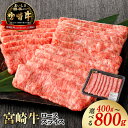 【ふるさと納税】牛肉 宮崎牛 400g 800g 選べる ロー