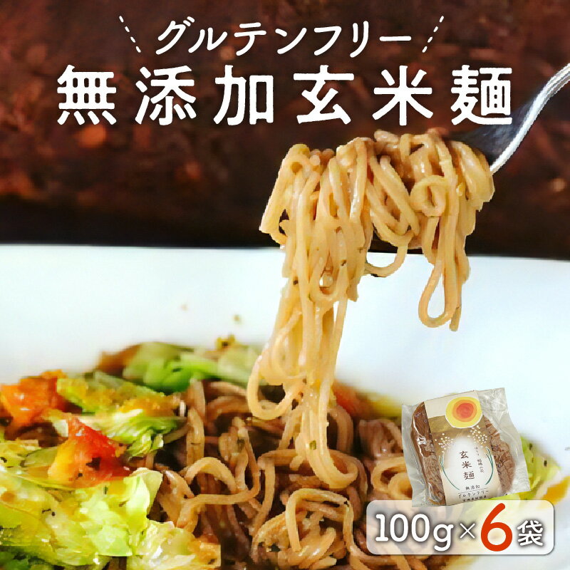 【ふるさと納税】無添加 玄米麺 100g × 6袋 セット 