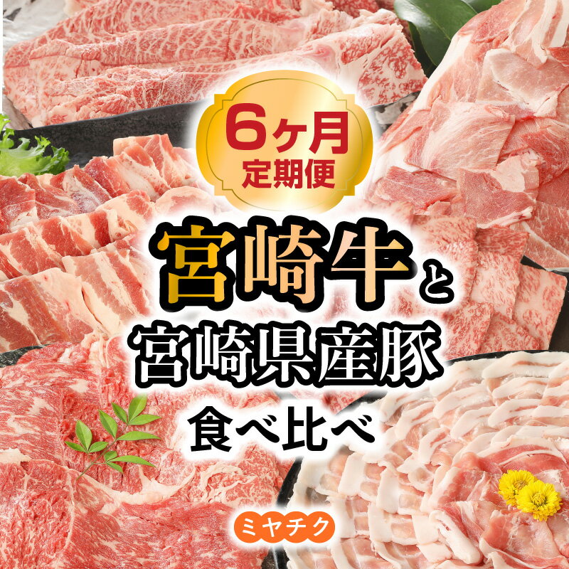 [定期便6回]宮崎牛 宮崎県産 黒毛和牛 豚 豚ロースしゃぶ 牛ウデスライス 豚バラ 豚小間切れ 牛肩ロース 牛ももスライス ミヤチク 国産 定期便 牛肉 豚肉 宮崎県 延岡市 お取り寄せ お取り寄せグルメ 送料無料
