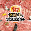 14位! 口コミ数「0件」評価「0」宮崎牛と宮崎県産和牛 6ヶ月 定期便 ミヤチク 国産