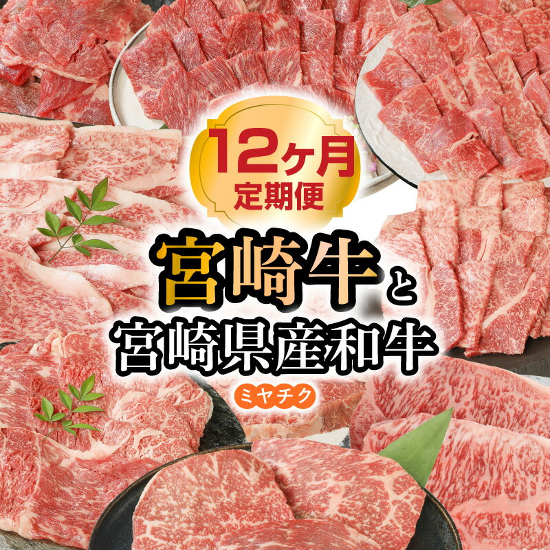 16位! 口コミ数「0件」評価「0」宮崎牛と宮崎県産和牛 12ヶ月 定期便 ミヤチク 国産