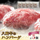 【ふるさと納税】八崎牛 ハンバーグ 約 120g × 5 贈答