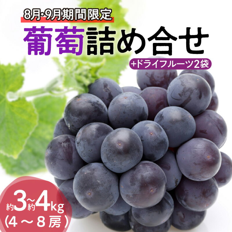 7位! 口コミ数「0件」評価「0」【先行予約】葡萄Bセット　約3kg〜約4kg（2024年8月発送開始）ドライフルーツ 2袋　フルーツ　果物　ぶどう　ブドウ　シャインマスカッ･･･ 