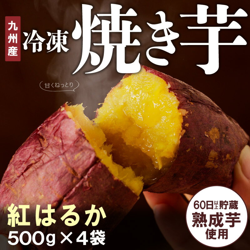 【ふるさと納税】国産 焼き芋 紅はるか 冷凍 500g×4袋 計2kg 無添加 砂糖不使用 高糖度 甘い レンジ 袋のまま チンするだけ 簡単調理 しっとり ほくほく おやつ 間食 スイーツ デザート お芋 さつまいも お取り寄せ グルメ 送料無料 2